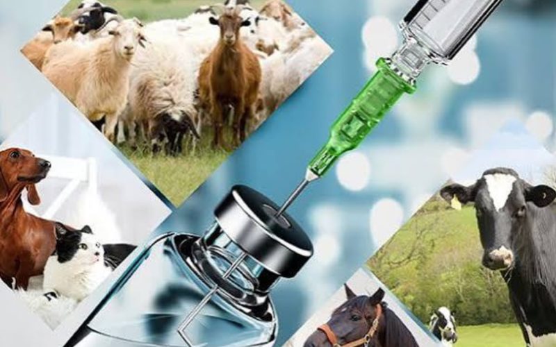 PM Orders National Livestock Vaccine Plant at NARC