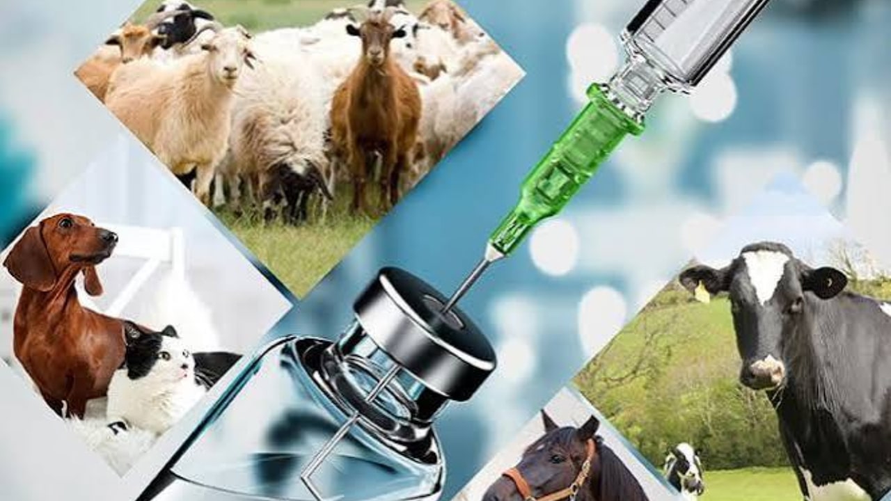 PM Orders National Livestock Vaccine Plant at NARC
